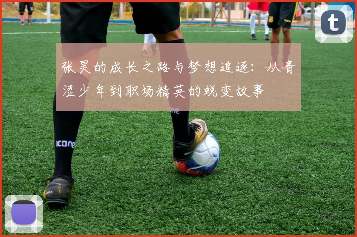 张昊的成长之路与梦想追逐：从青涩少年到职场精英的蜕变故事