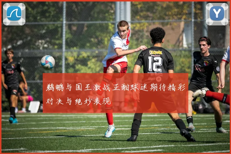 鹈鹕与国王激战正酣球迷期待精彩对决与绝妙表现