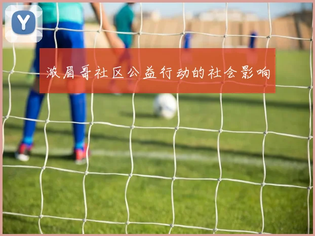 浓眉哥社区公益行动的社会影响