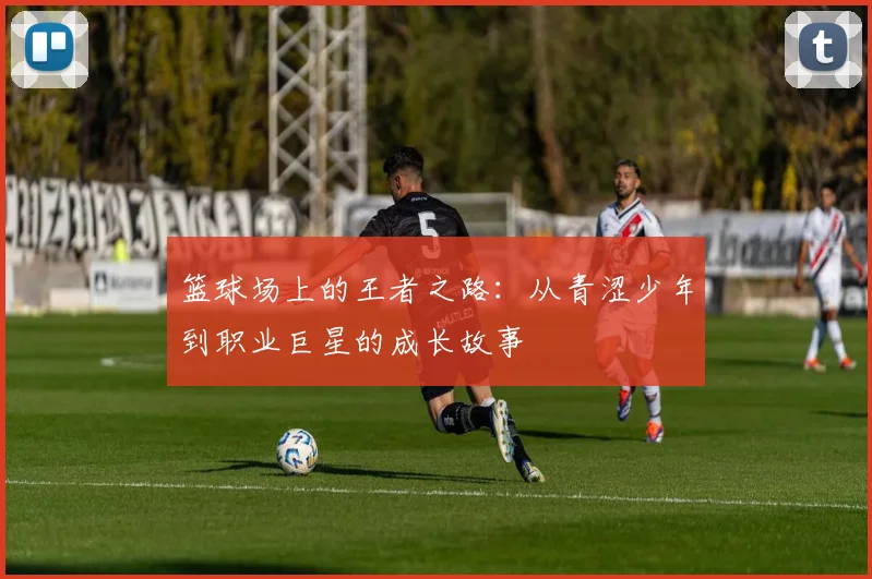 篮球场上的王者之路：从青涩少年到职业巨星的成长故事