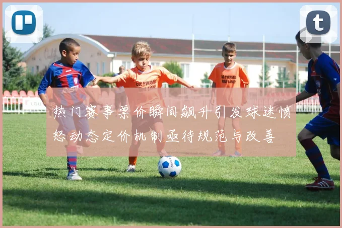 热门赛事票价瞬间飙升引发球迷愤怒动态定价机制亟待规范与改善